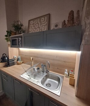 Fridge, microwave, oven, stovetop - Spacious studio, completely renovated, right in the city center. (Lyon)