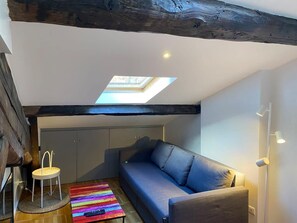 TV - Lovely studio in the 9th arrondissement, near the quays. (Lyon)