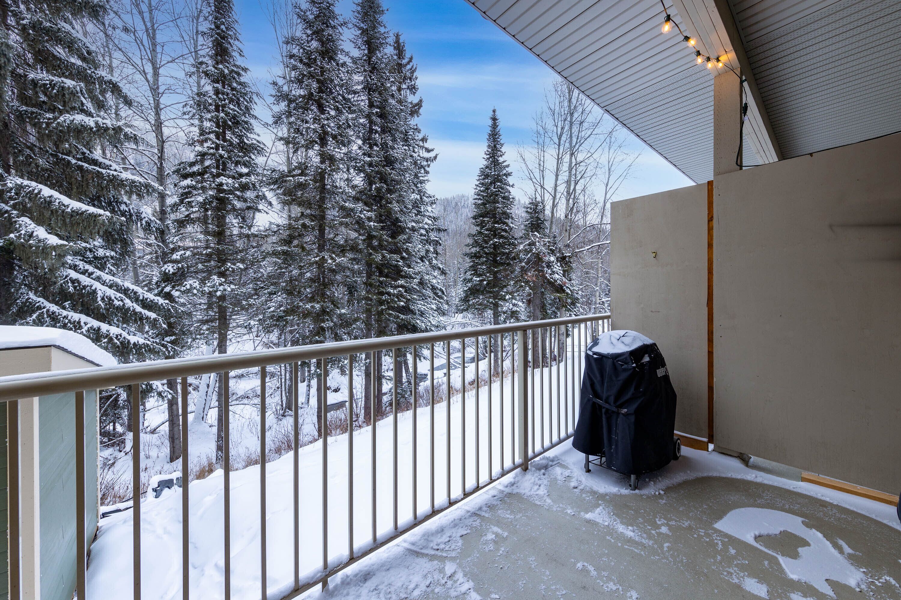 Uma varanda com guarda-corpo de metal, com vista para uma paisagem coberta de neve e árvores perenes altas.