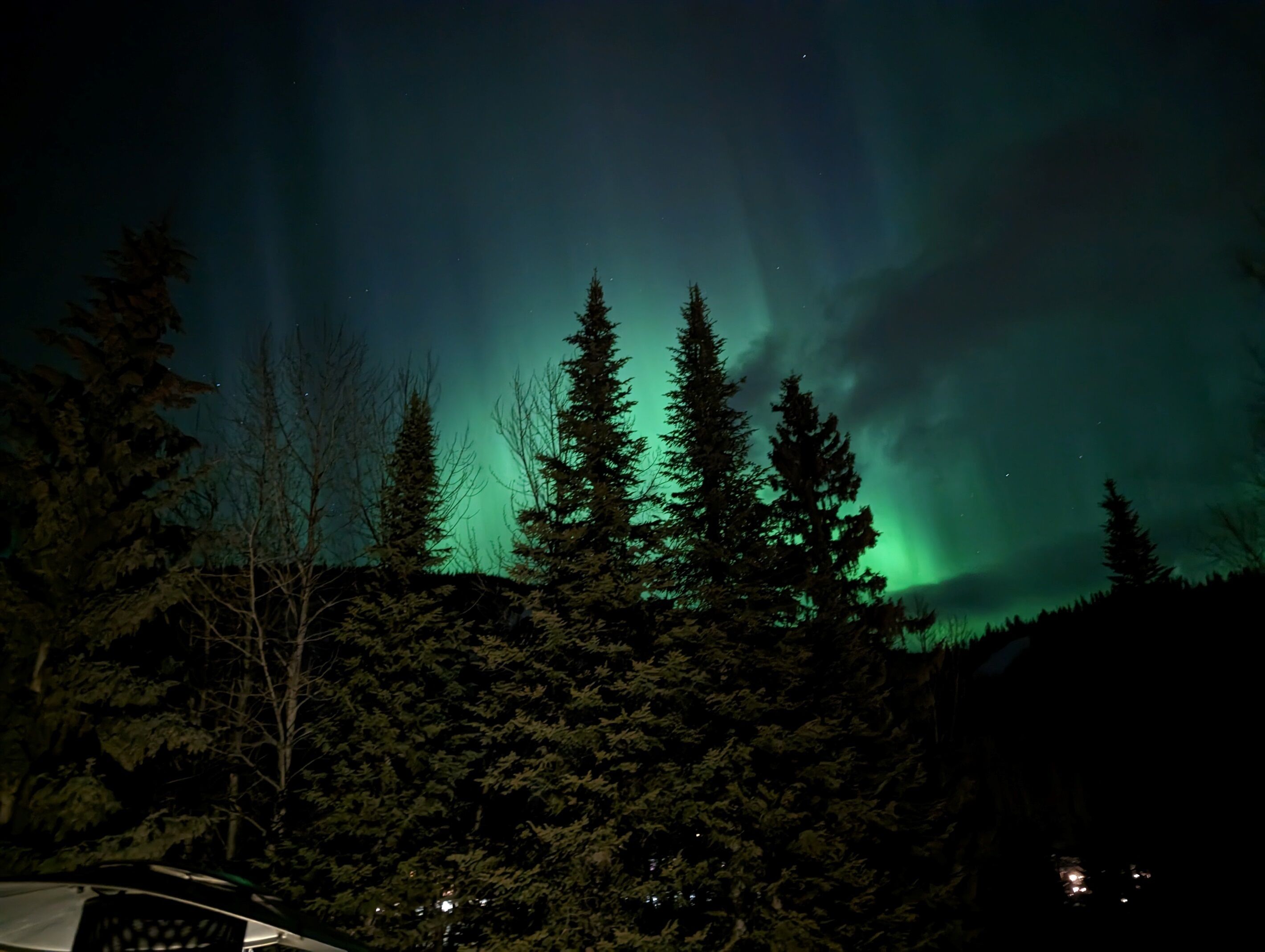Un ciel nocturne illuminé par les aurores boréales, visible au-dessus d’une zone boisée.