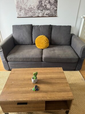 TV - Le Refuge de la Bascule - Charmant appartement Caluire et cuire (Caluire-et-Cuire)