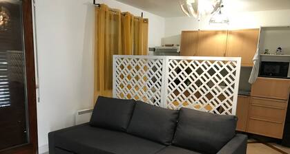 Beau Appartement Calme et ensoleillé Paris*Disney*