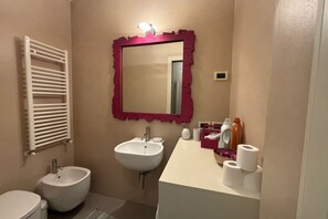 Shower, hair dryer, bidet, towels