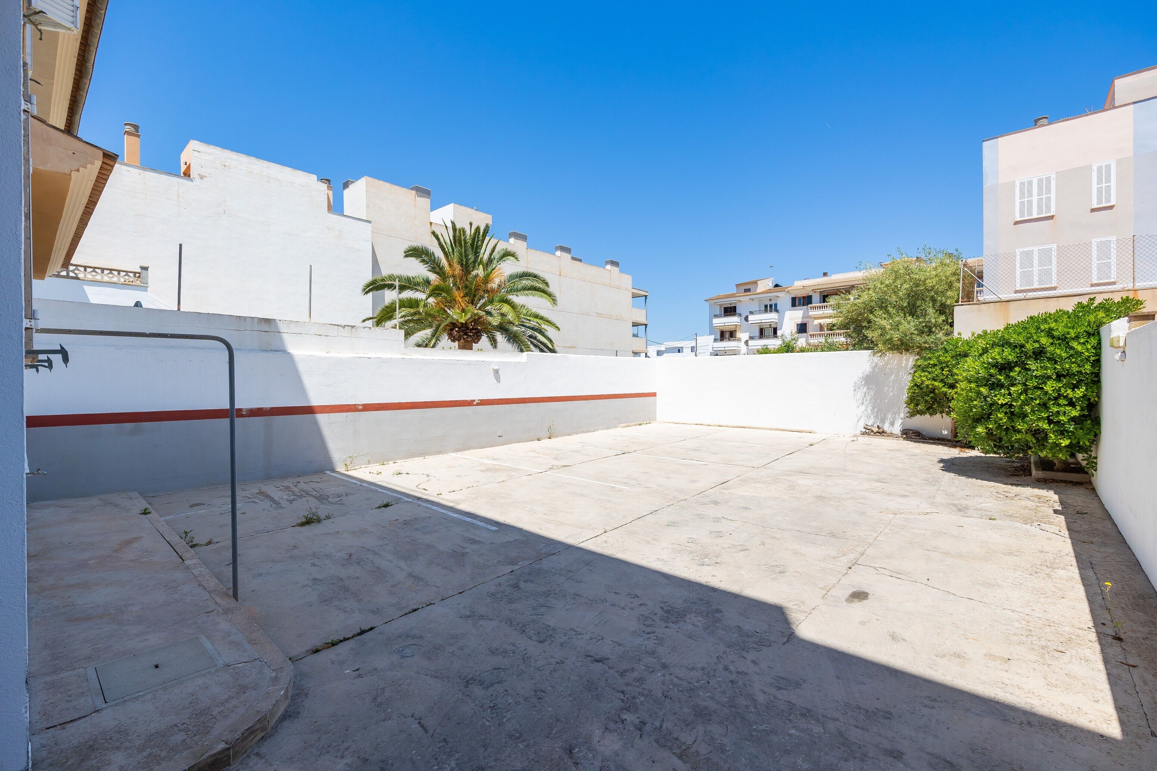 Une terrasse sur le toit avec un palmier, un mur blanc et un bâtiment en arrière-plan.