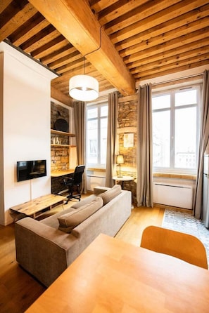 TV - Le petit Imbert - warm and cosy studio apartment (Lyon)