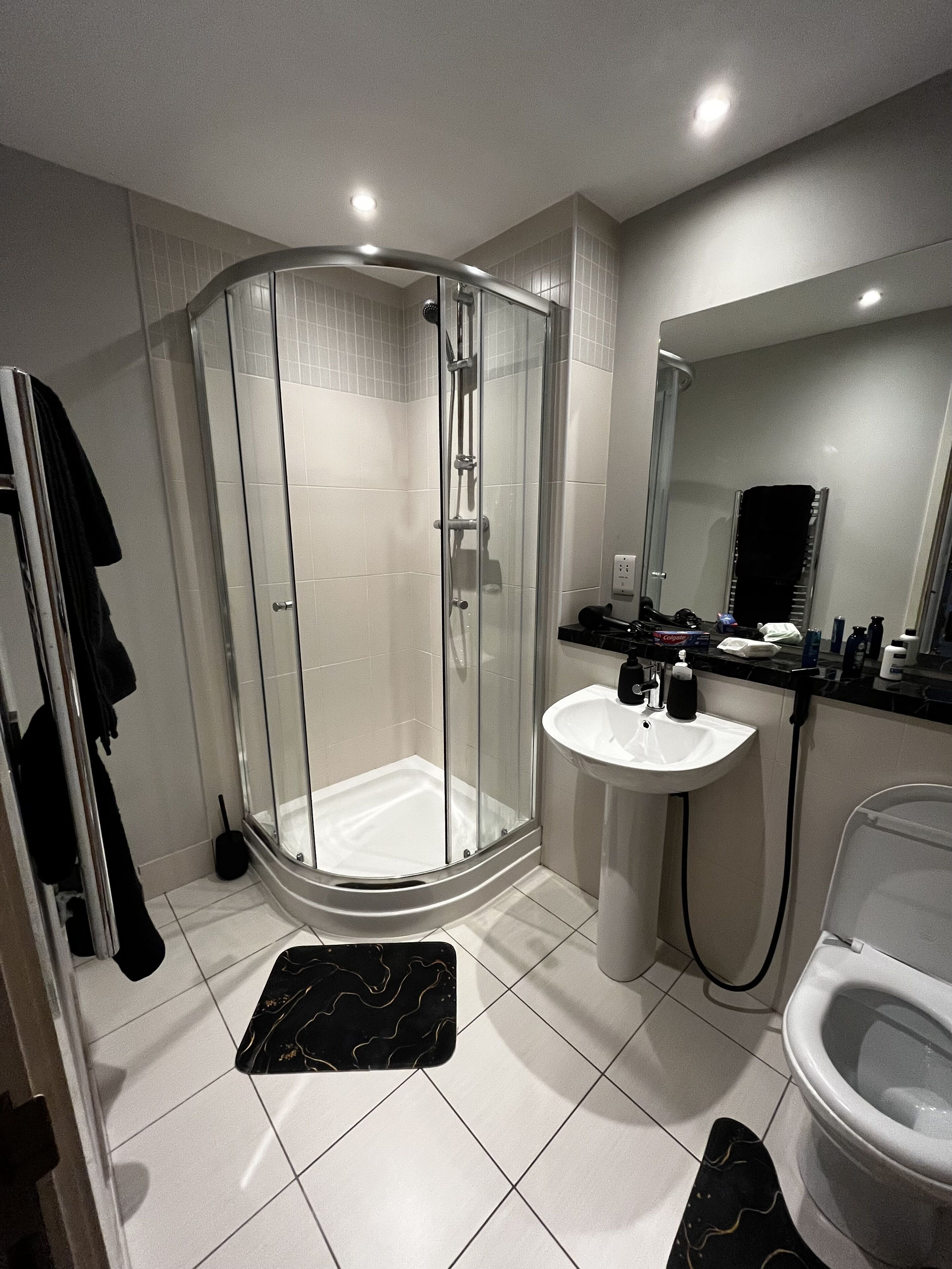 Shower, hair dryer, bidet, towels