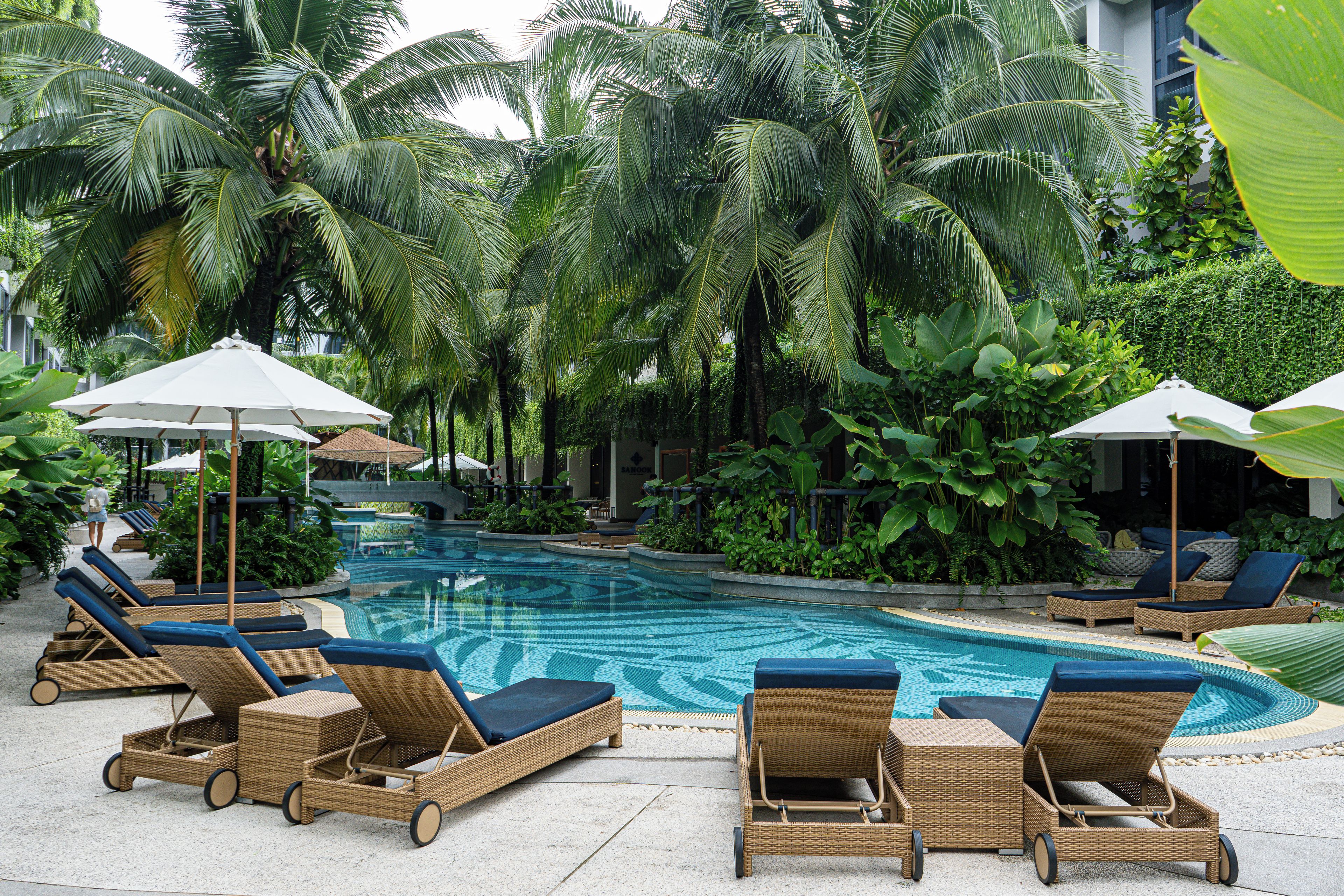 A poolside area with lounge chairs and umbrellas, surrounded by lush greenery.