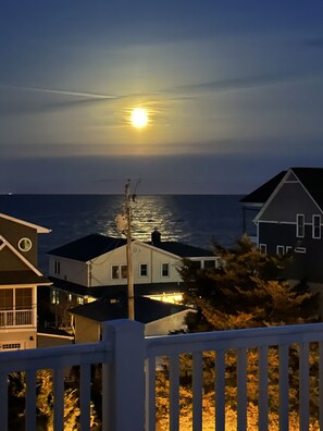 Property grounds - Green Street Coastal Retreat (Milford)