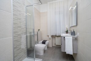 Shower, hair dryer, bidet, towels