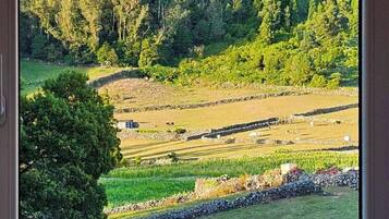 Ropa de cama de alta calidad, minibar, escritorio y wifi gratis