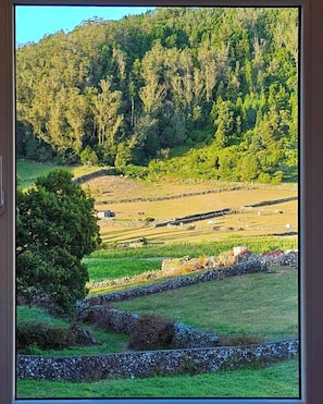 Premium bedding, minibar, desk, free WiFi - Franco da Serra Country House (Angra do Heroismo)