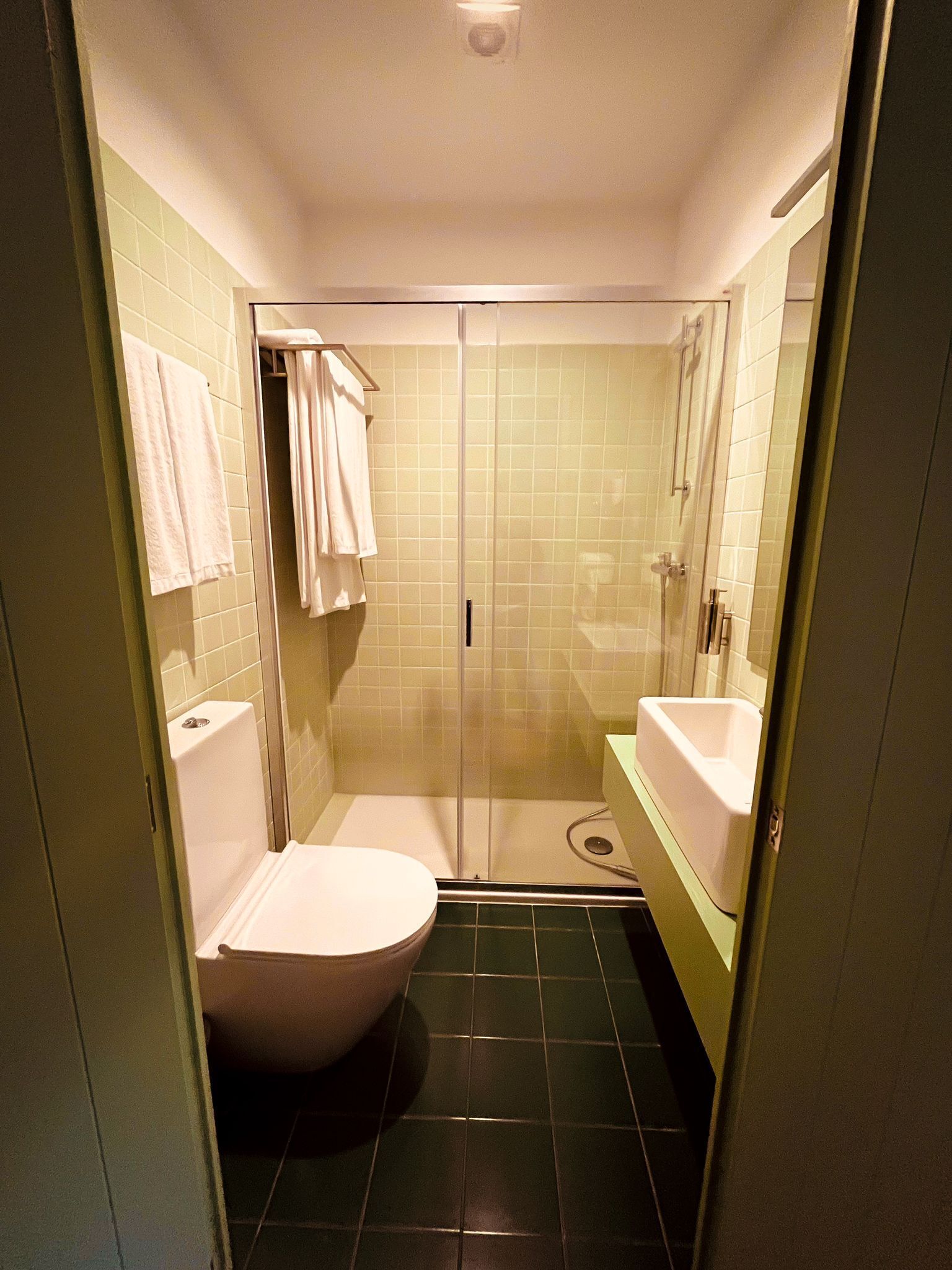 Een compacte, afgesloten badkamer met toilet, douche en wastafel.