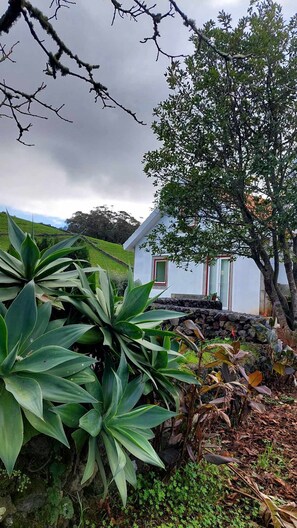 Exterior - Franco da Serra Country House (Angra do Heroismo)
