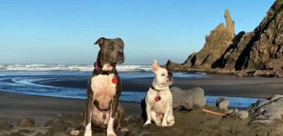 Valley Views Farm Cottage