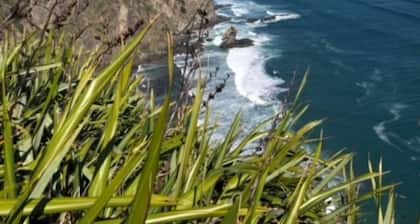 Valley Views Farm Cottage