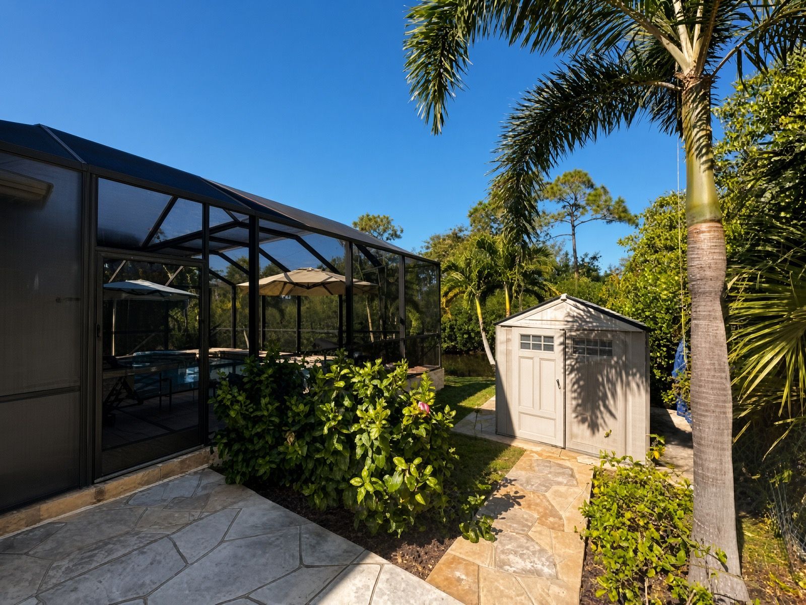 A glass-enclosed structure with a patio area, a small shed, and a palm tree.