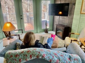 Smart TV, fireplace, books