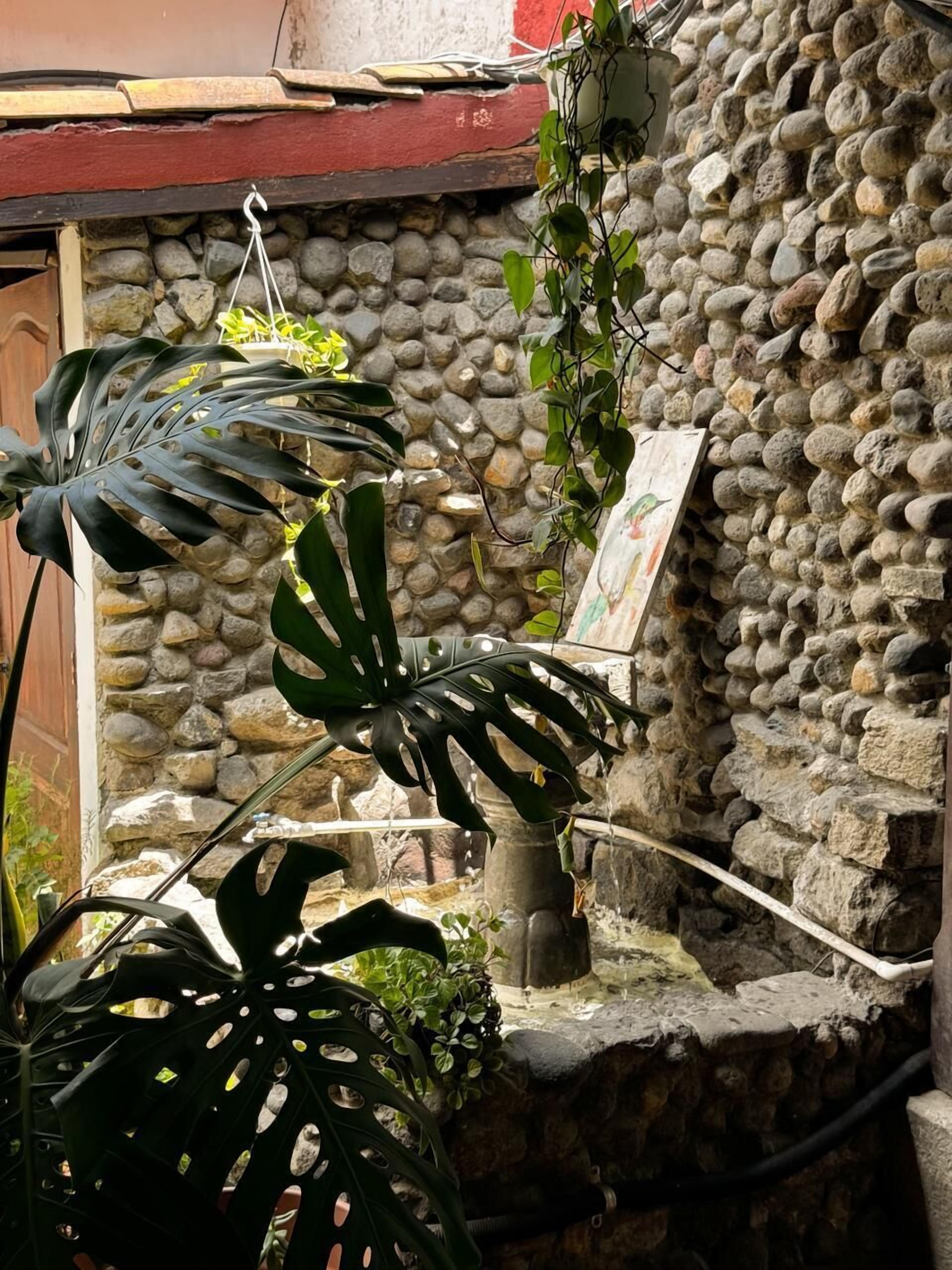 Foto - Hotel Casa Nikté