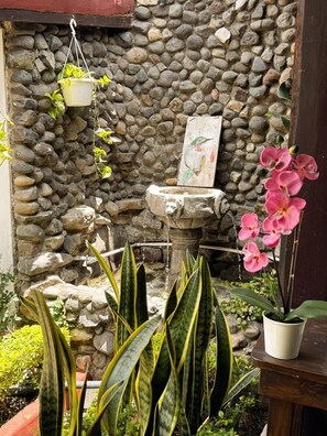 A stone wall with a hanging planter, a birdbath, and various plants. - Hotel Casa Nikté (Antigua Guatemala)