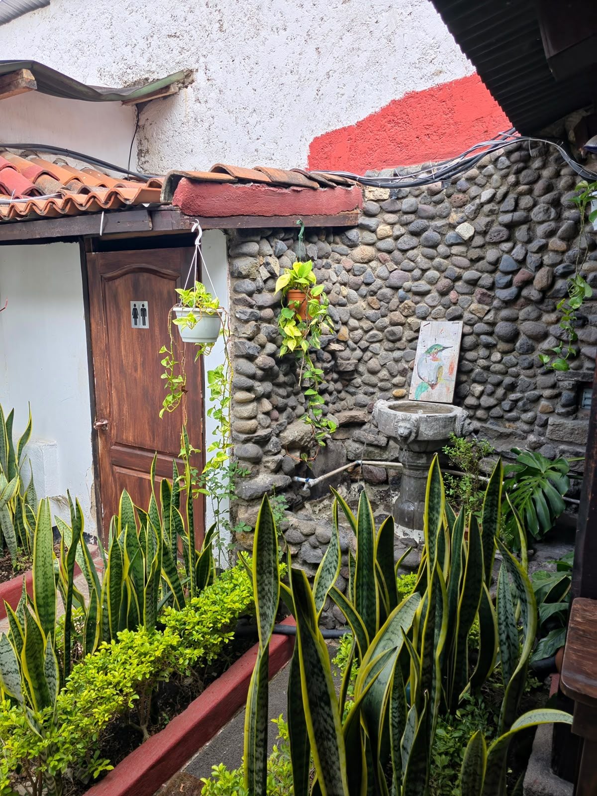 Ein Innenhof mit Steinmauer, Holztür, hängenden Pflanzen und einem kleinen Brunnen.