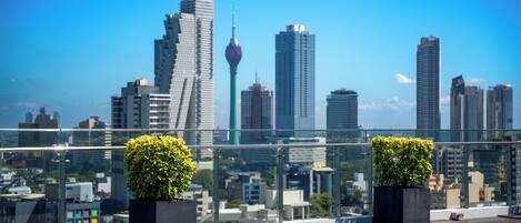 Eine Dachterrasse mit zwei quadratischen Pflanzgefäßen mit grünen Sträuchern, einer Glasufernung und einer Stadtansicht im Hintergrund.