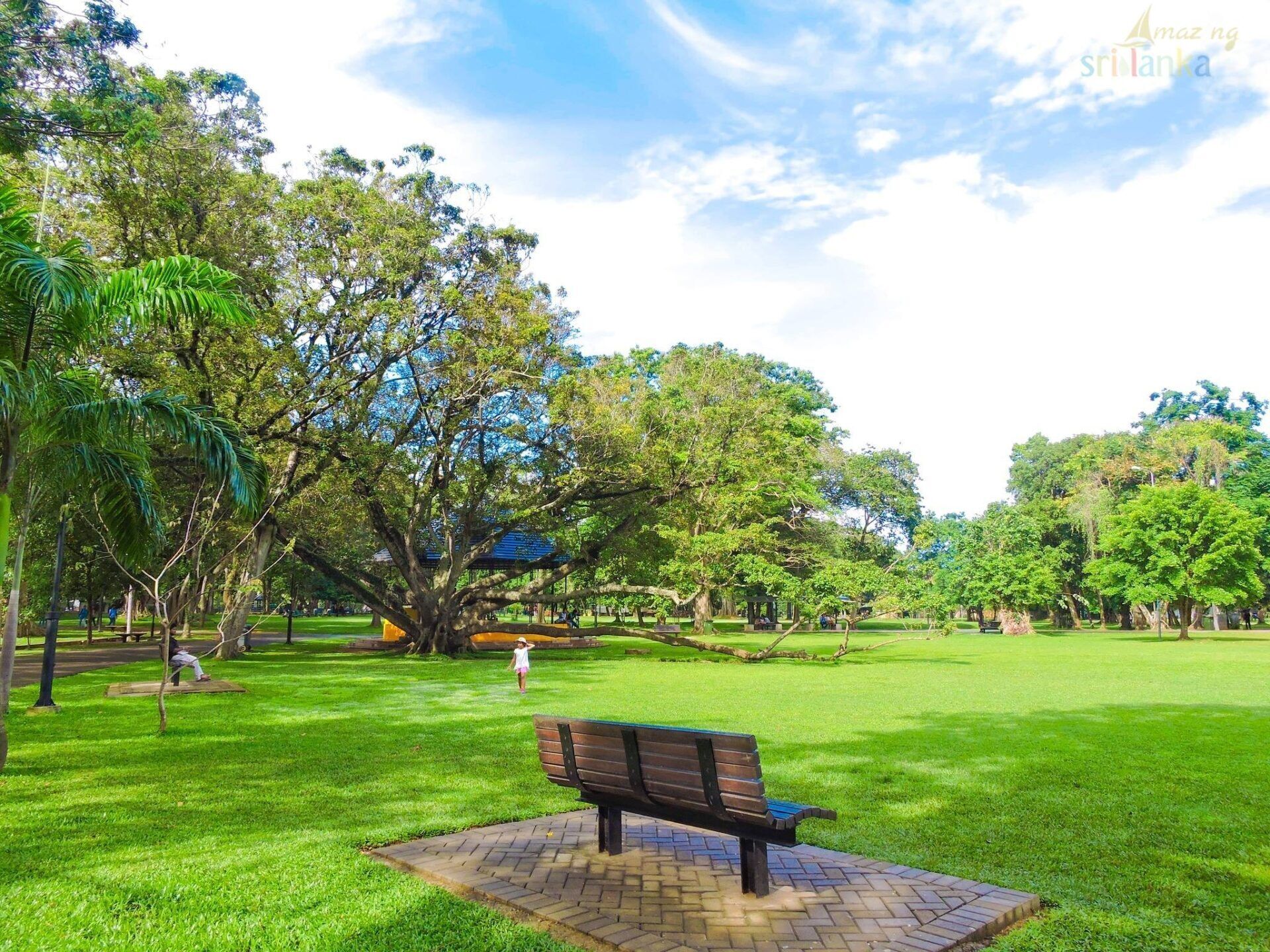 Photo - Sofia Colombo City Hotel