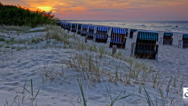 A beach with rows of beach chairs and umbrellas, a sandy foreground with grass, and a sunset over the ocean. - Flaschenpost by Interhome (Zinnowitz)