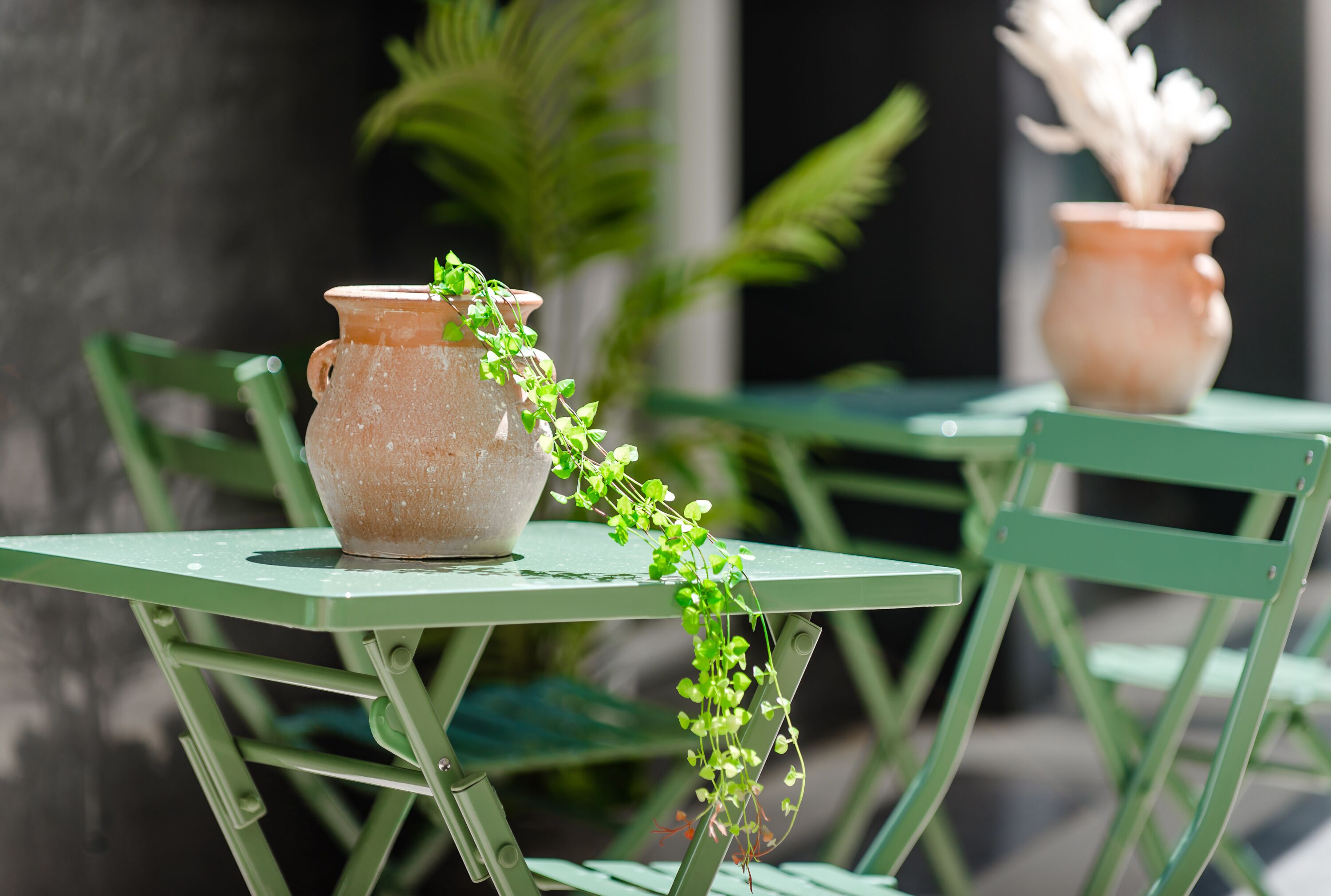 A table with a terracotta pot and a green plant on it.