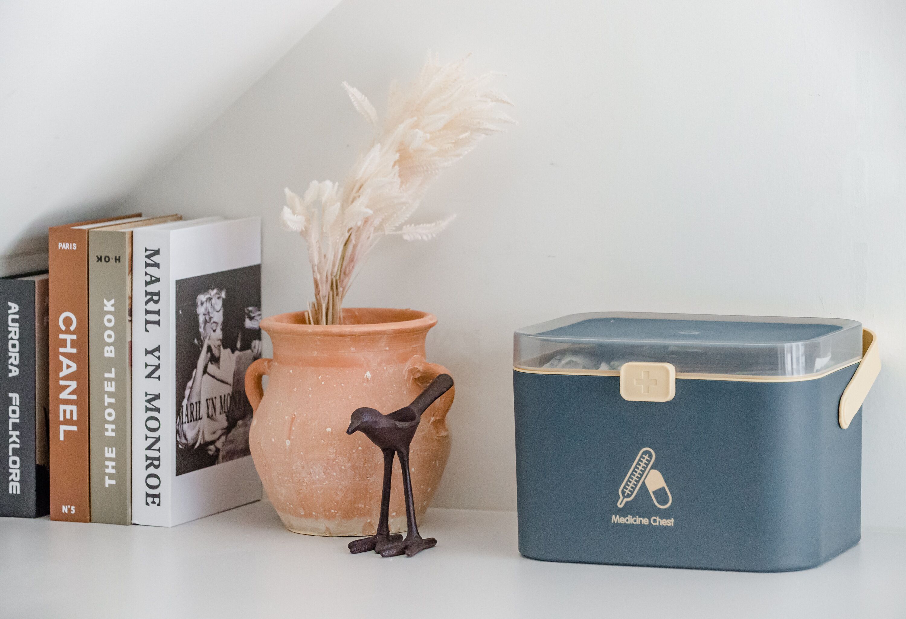 Uma prateleira com livros, um vaso de terracota com plumas de plume e uma caixa azul para arrumação com a etiqueta 'Kit de Medicina'.