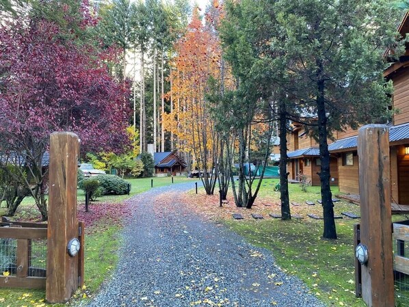 Property grounds - Remanso del Bosque - Cauquen Cabin (Puerto Manzano)