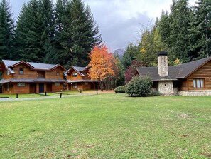Une rangée de chalets en rondins, avec une pelouse verdoyante et un grand arbre aux feuilles d’automne en arrière-plan.
