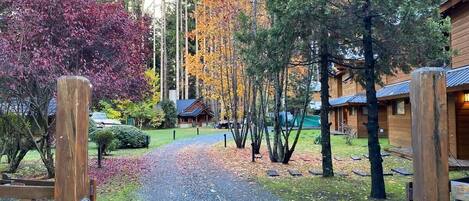 Overnatningsstedets område