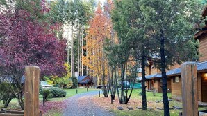 A wooden lodge with a gravel path leading to a cabin. - Remanso del Bosque - Los Teros Cabin (Puerto Manzano)