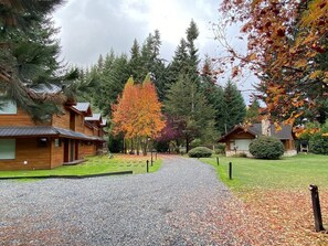 Escape to a serene retreat surrounded by mature trees and well-manicured lawns.