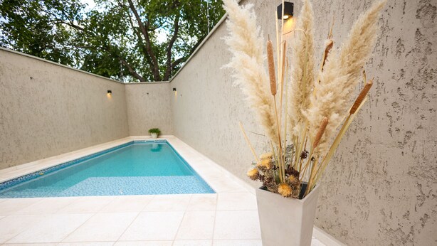 A swimming pool with a tiled deck, a potted plant with pampas grass, and a wall with a textured finish.