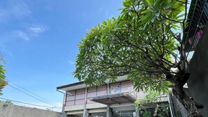 A hotel entrance with a paved driveway, two parked cars, and a covered walkway. - Ommaya Hotel & Resort (Baki)
