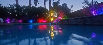 A tropical paradise in the desert!