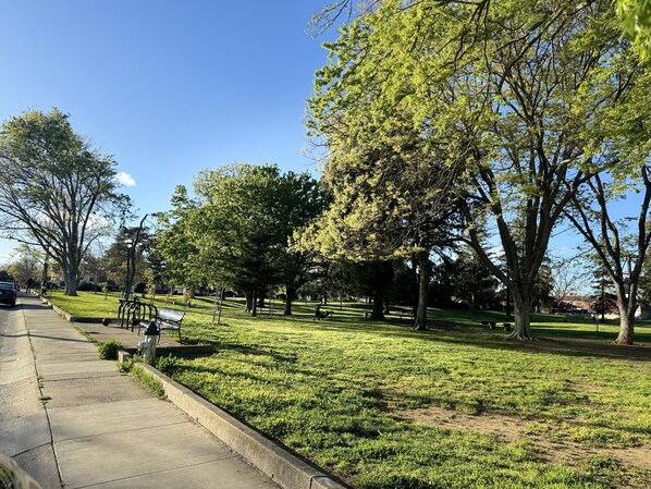 A park with a paved walkway, benches, and trees.
