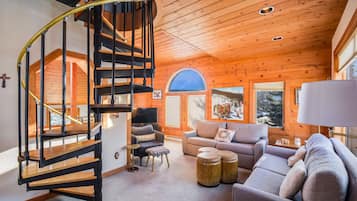 TV, fireplace, books