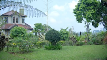 Jardín
