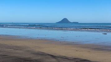 Vlak bij het strand, strandlakens