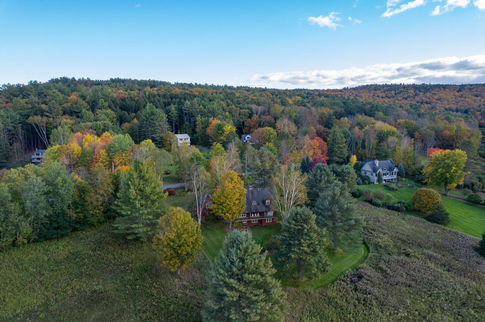 A residential area with multiple houses surrounded by dense forest, clear skies, and a hilly backdrop.