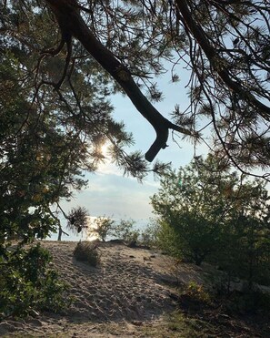 Unclassified image, 5 of 23, button