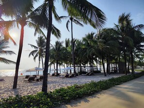 Ein Strand mit Palmen, Liegestühlen und Sonnenschirmen.
