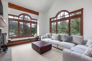 テレビ、暖炉、書斎 / ワークスペース