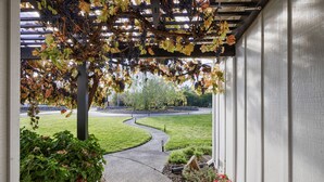 A covered walkway with a view of a green lawn and a curved path. - Modern Ranch House-swim, soak, pickleball & walk to wineries (Sonoma)