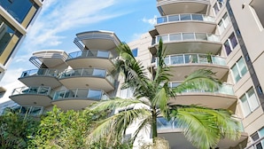 A multi-story building with balconies and a palm tree in the foreground. - Allegro Apartments (South Brisbane)
