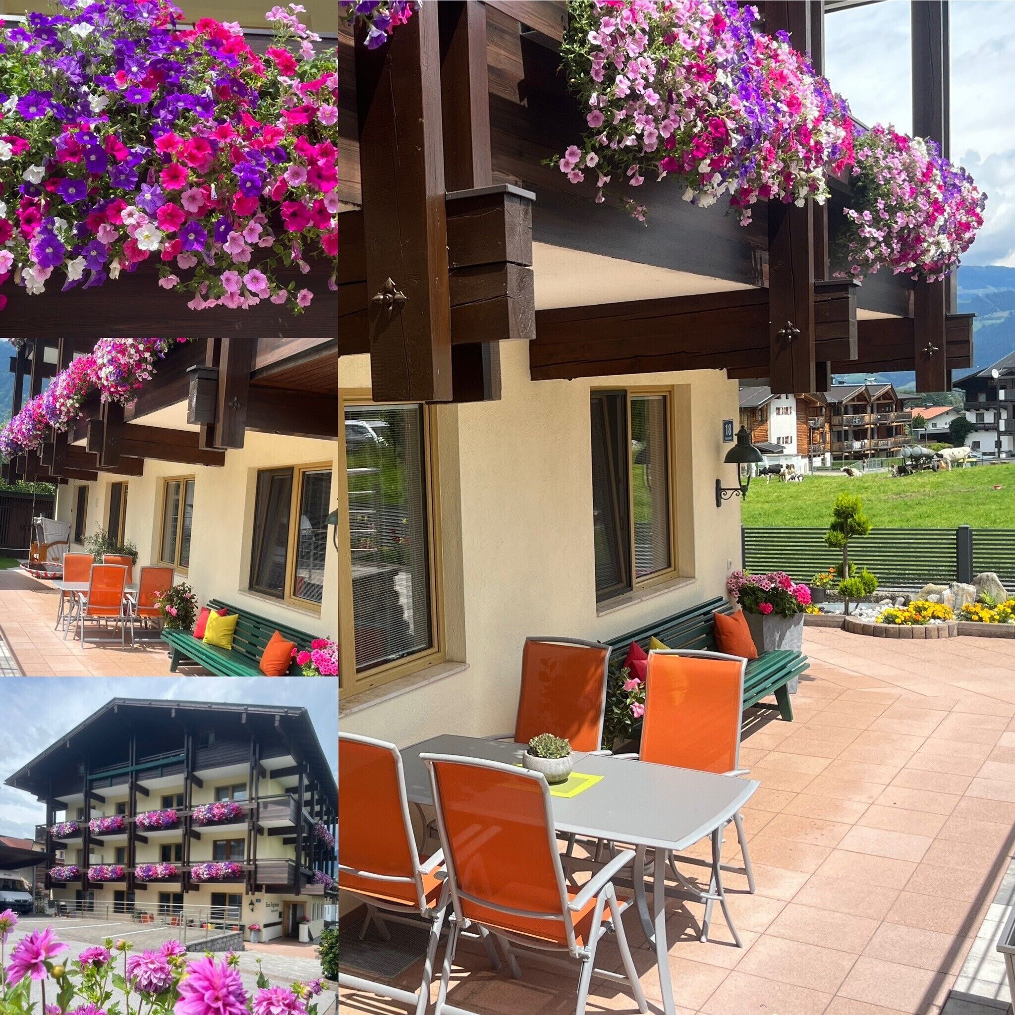 Opções para refeição ao ar livre