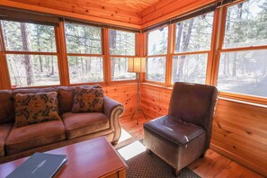 تلفزيون، مدفأة، مكتب