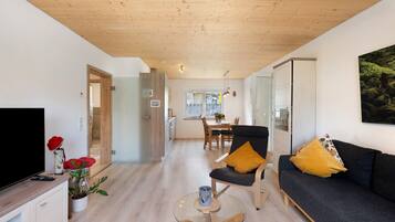 Televisio, pöytätennispöytä